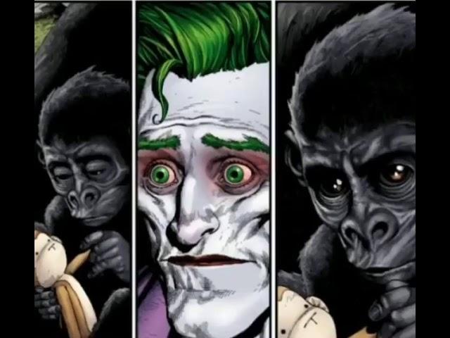 Joker monkey