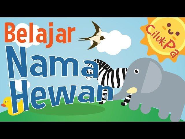 Belajar Mengenal Nama Hewan | CilukPa