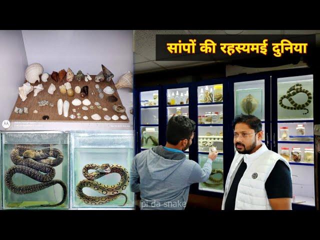 सांपों की रहस्यमई दुनिया में आप सभी का स्वागत है #bapi_da_snake_expert