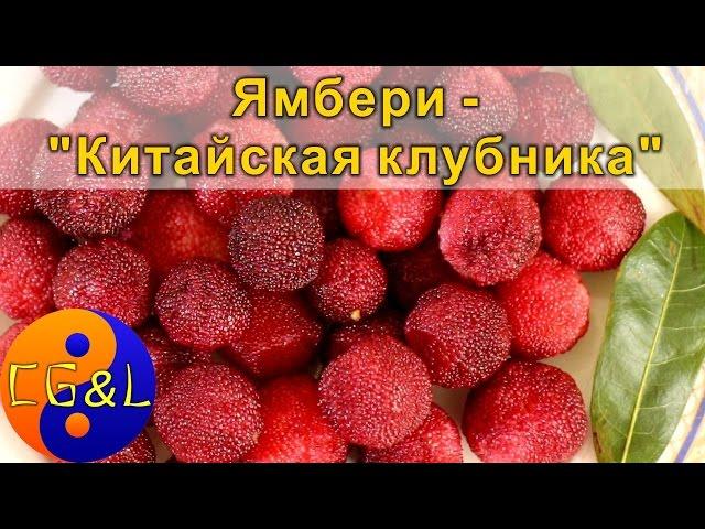 Пробуем ямбери или "Китайскую клубнику"