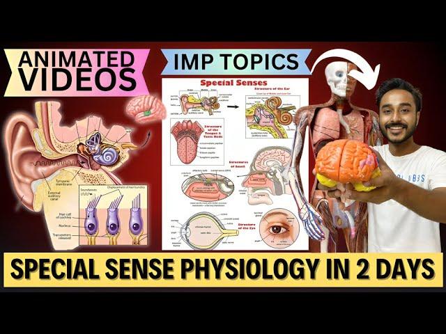 special sense physiology in 2 days | how to study special sense physiology important topics