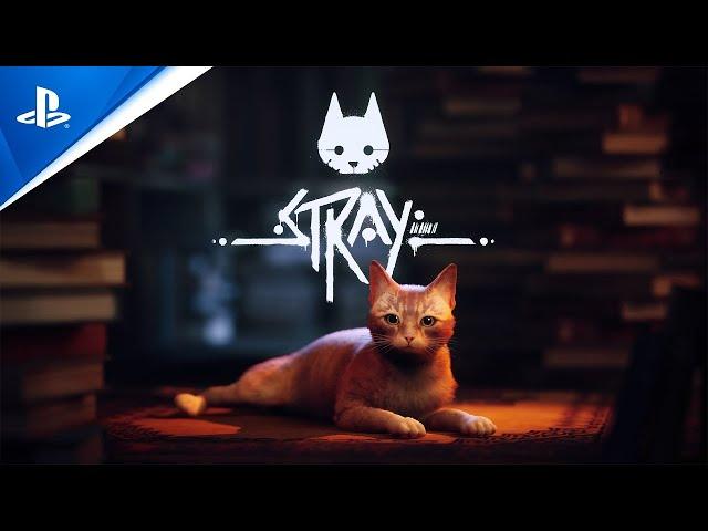 Stray - Trailer de gameplay - 4K | PS4, PS5