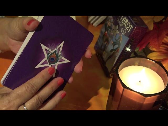 Twin Tarot Oracle - Full Flip Through of Each Card