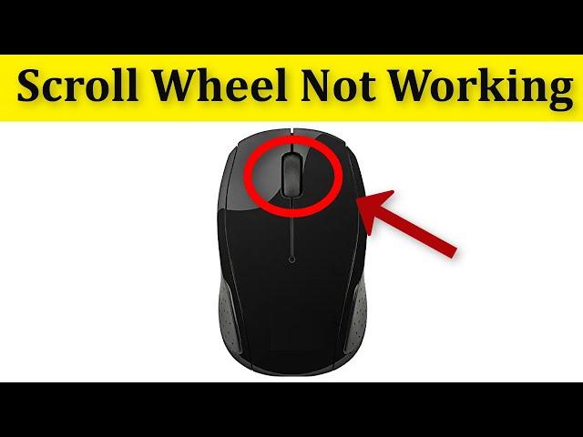 How To Fix Mouse Scroll Wheel Not Working In Google Chrome ||  Windows 10/8/7