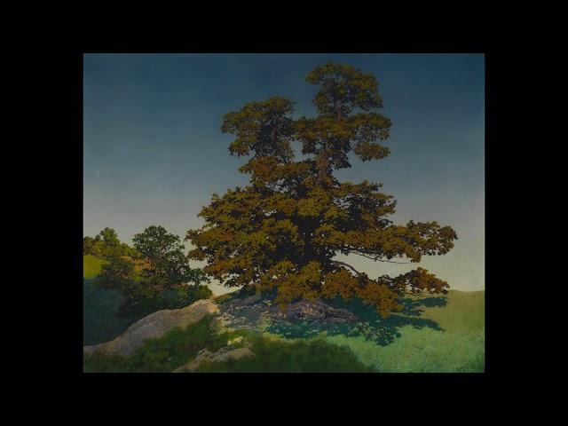 CAM Look | Portrait of a Tree by Maxfield Parrish | 5/25/20