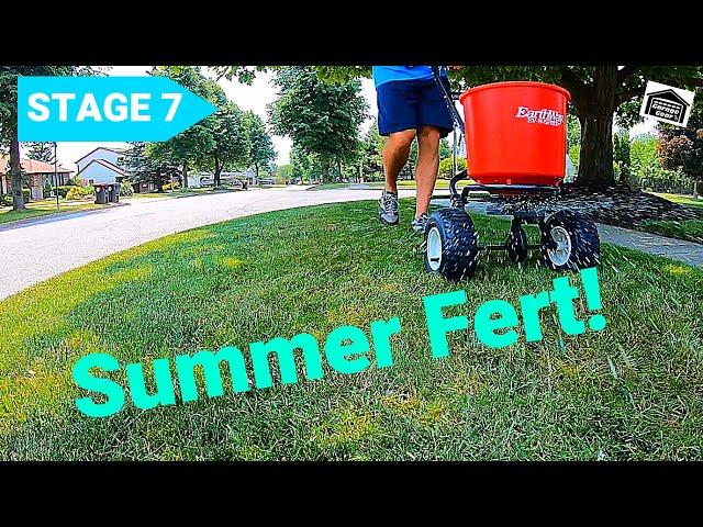 LAWN FERTILIZING PROGRAM STAGE 7 - Summer Lawn Fertilizer Application With PGF Complete