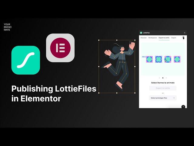 Lottiefiles 101: How to publish Lottiefiles in Elementor and WordPress