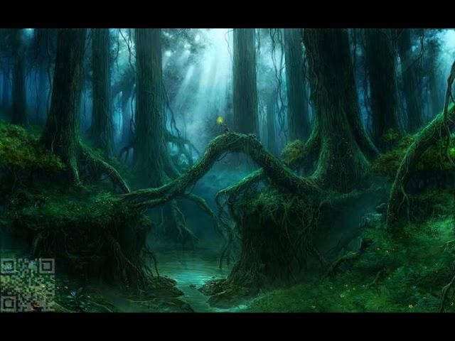 Dark forest / Psy-key / Forbidden Trees