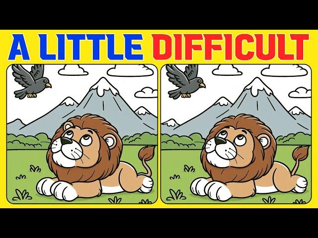 Spot the Difference | Puzzle Games 《A Little Difficult》