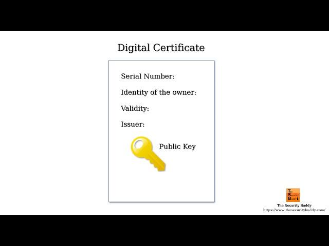 What is a Certificate Authority (CA)?