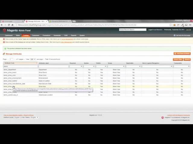 Configuring Magento to Work for Your Business: Creating Custom Attributes and Attribute Sets