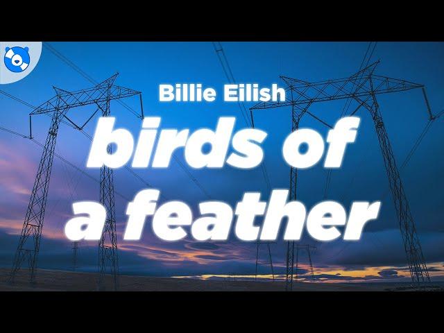 Billie Eilish - BIRDS OF A FEATHER (Clean - Lyrics)