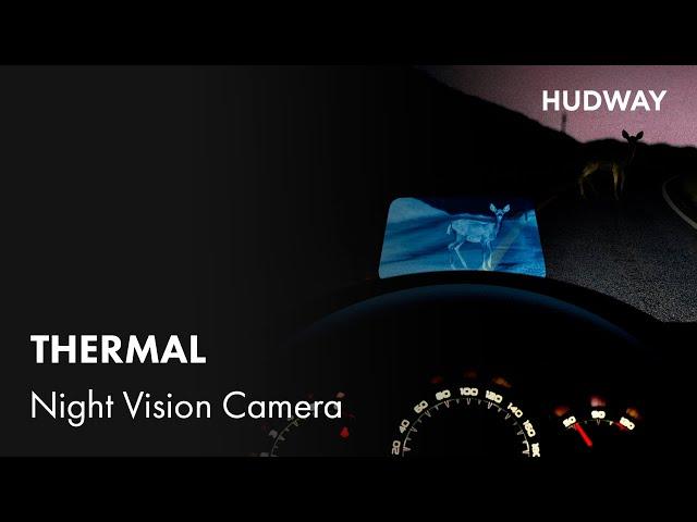 Driving with thermal night vision camera