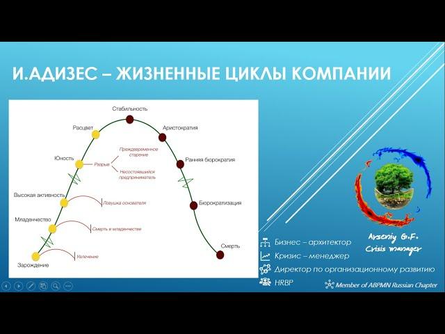 Жизненные циклы компании (И.Адизес) Часть 1