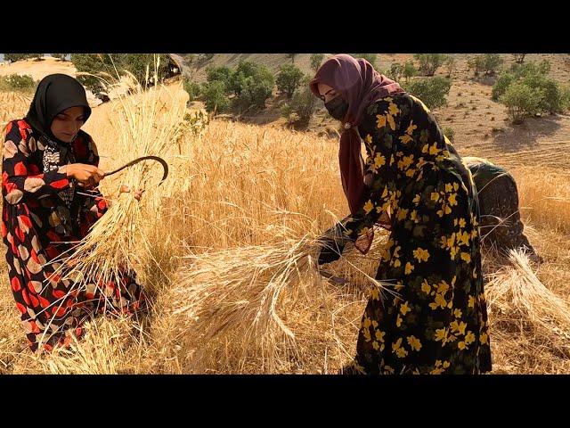 Nomadic life: Khadija and her family work in a farm to earn money