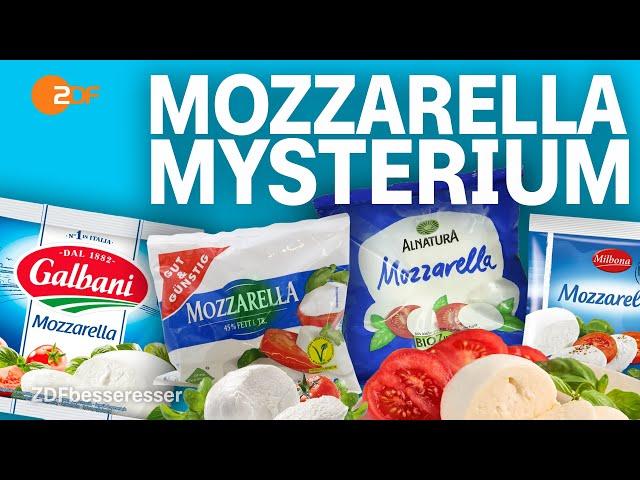 Cheese Check: Das steckt wirklich im Supermarkt-Mozzarella I WISO