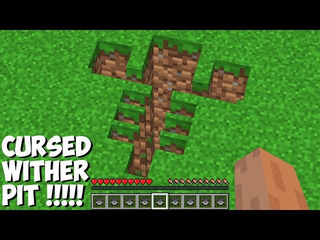 Where DOES THIS CURSED WITHER PIT LEAD in Minecraft ? SECRET WITHER TUNNEL !