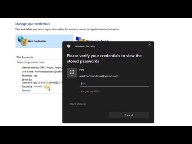 How to Access and Use Credential Manager on Windows 10 and Windows 11