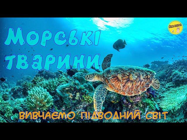 SEA ANIMALS | EDUCATIONAL VIDEOS FOR CHILDREN | underwater world