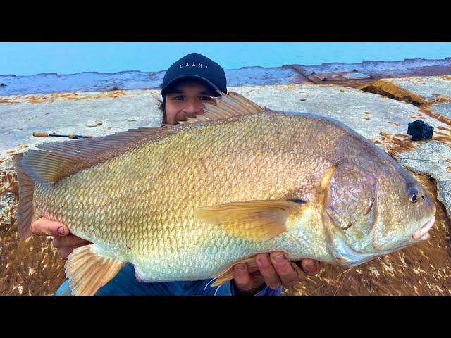 Michigan Pier Fishing - How to Catch GIANTS