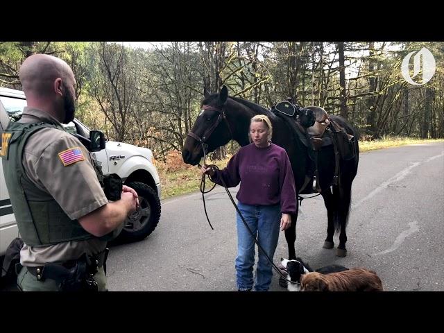 A woman, her dogs and her horse find missing toddler in the woods