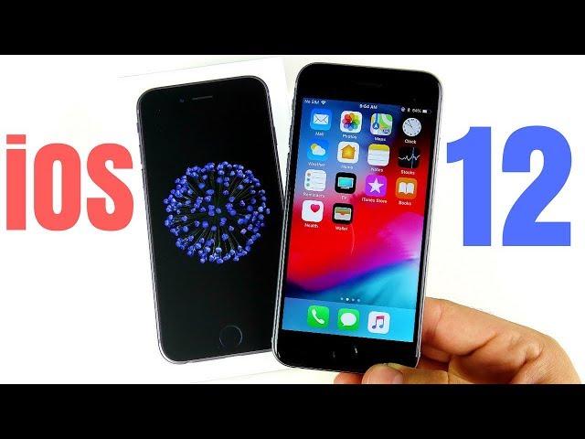 iPhone 6 iOS 12 Beta 1 Performance Review