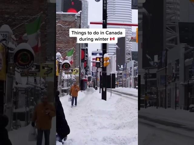 Best Activity In Canada Winter 