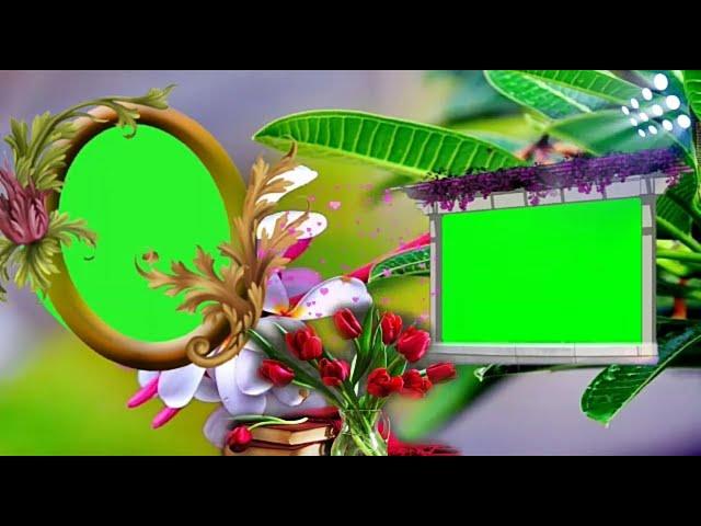 Wedding green screen Effects HD Video 130/Beautiful green photo frame