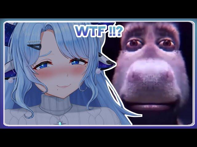 WTF !!? | Milky React To Offensive Memes Thats If YLYL