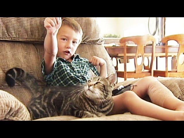 Cat Saves Little Boy From Being Attacked by Neighbor's Dog