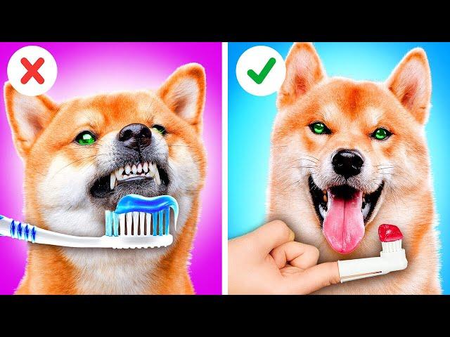 AWESOME HACKS FOR PET OWNERS || Fun DIY Toys and Useful Gadgets! Cute Tips By 123 GO! TRENDS