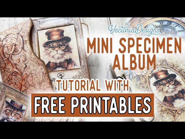 Mini Specimen Album Tutorial + All the Printables for Free