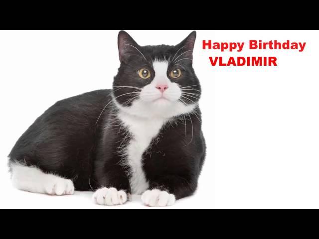 Vladimir  Cats Gatos - Happy Birthday