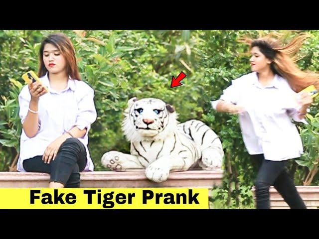 Fake Tiger Prank On Cute Girl | @HitPranks