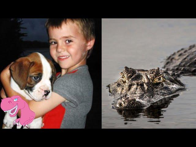 7 Worst Crocodile Attacks on People in Australia PART 2