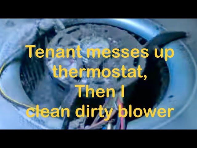 Tenant midwife’s AC thermostat, afterwards I Clean Dirty Blower