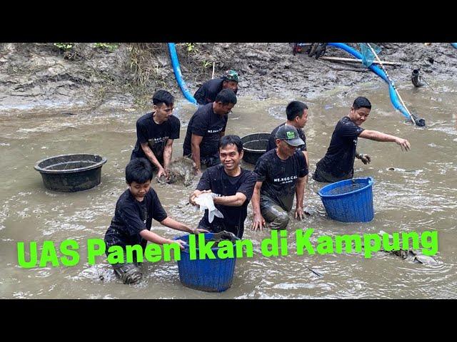 Seru‼️UAS Ajak UFA Panen Ikan di Kampung | Silau Laut - Asahan, Sumatera Utara