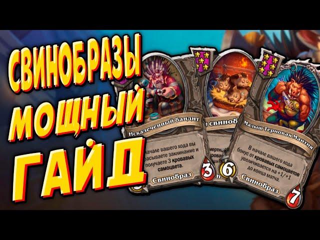 Гайд  для новичков СВИНОБРАЗЫ | Поля Сражений Hearthstone Battlegrounds