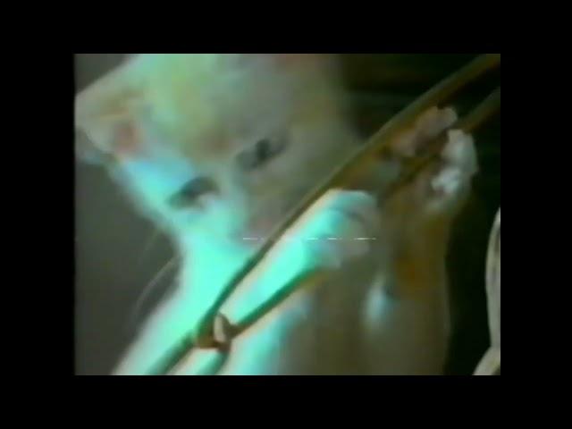 Whiskas TV Commercial 1986