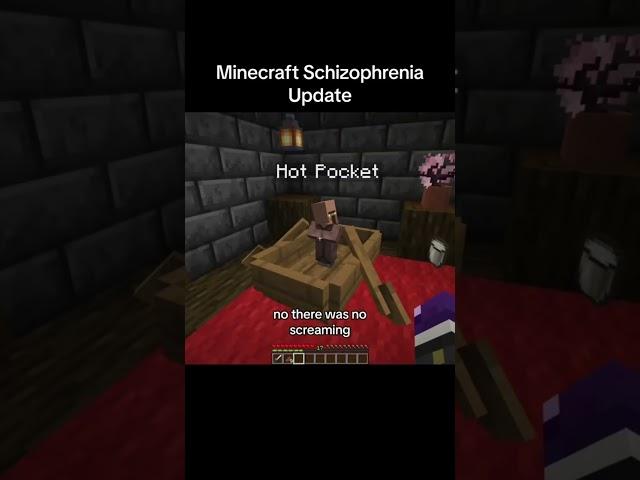 Minecraft Schizophrenia Update #minecraft #gaming