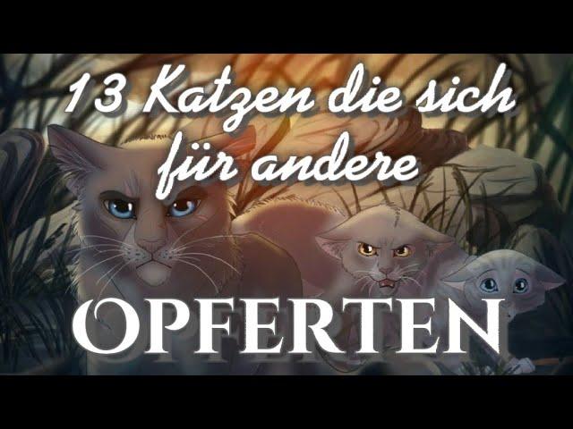 13 Katzen aus Warrior Cats die sich für andere opferten 