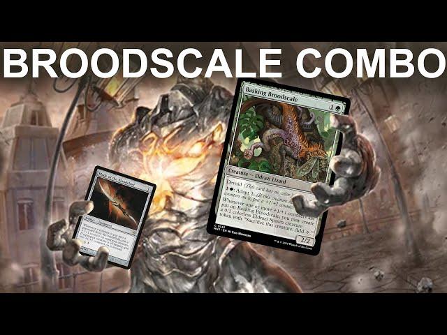 SCALING UP! Modern Basking Broodscale Combo. Pauper's Premier Combo Deck Powered WAY up! MTG