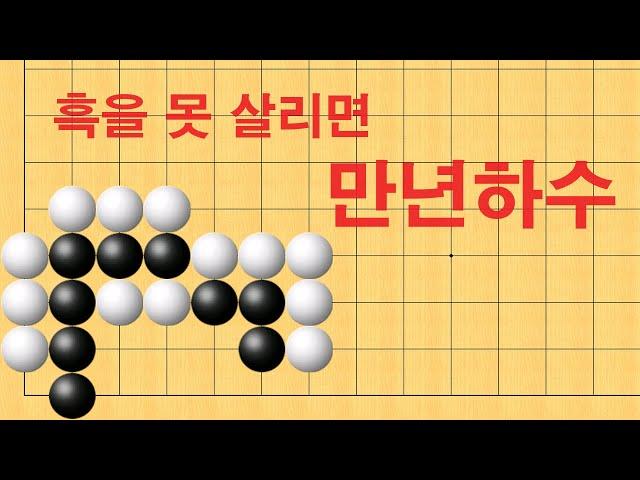 바둑 묘수 사활 - 흑을 못 살리면 만년하수 입니다.