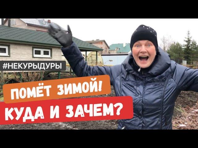 Помёт зимой. Сбыт. Мои рекомендации. Прячем с пользой!