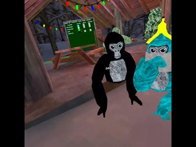 DAISY09 JOINED MY PRIVATE SEVER (gorilla tag vr)