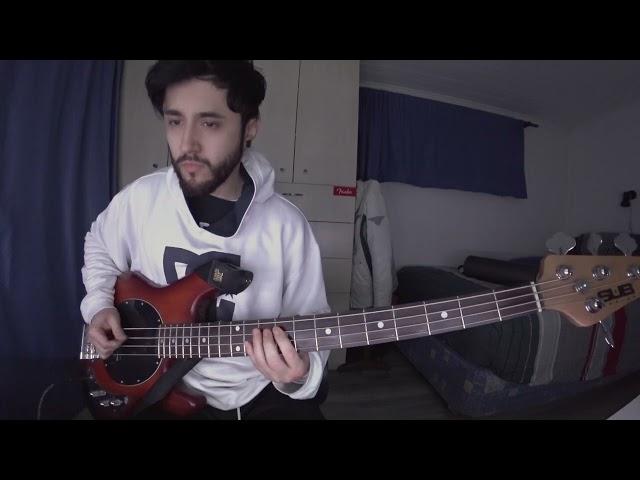 TWO DOOR CINEMA CLUB - What You Know (Bass Cover)