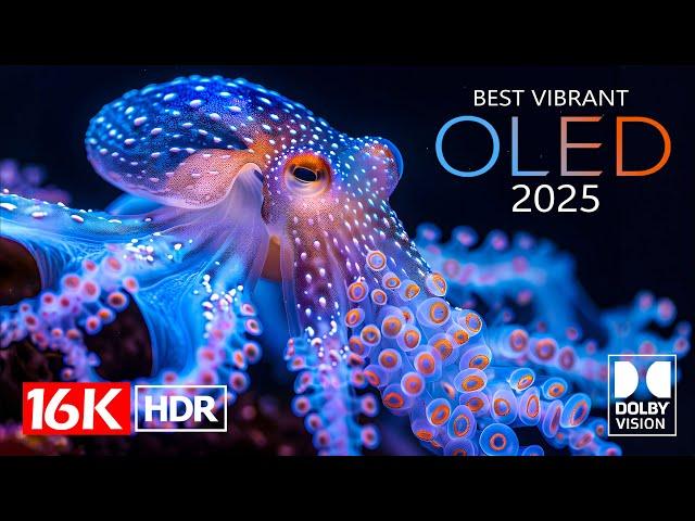 Best Vibrant 16K Video ULTRA HD - 16K HDR Dolby Vision