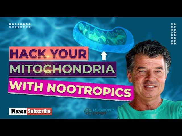 how to improve mitochondrial health