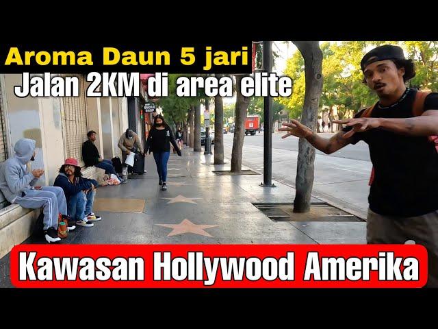 Beginilah Kawasan Elite/Highclass di Hollywood Amerika !!