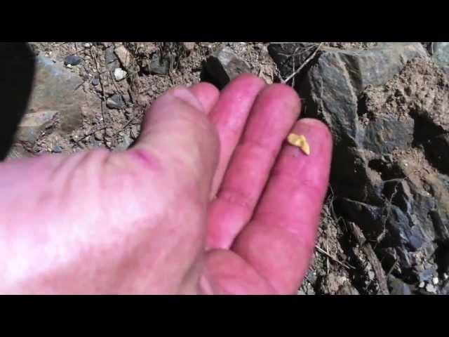 Gold Nugget found in Oregon with the Garrett AT Gold